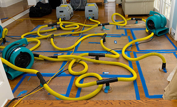 Professional Basement Flood Cleanup technician working in Abbeville, SC